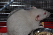 DSC_0003 - копия.webp