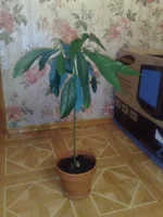 240820112136.webp