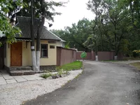 57337610.webp 57337610.webp