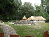 57337675.webp 57337675.webp