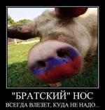fjff0f.webp