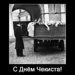d7hddb.webp