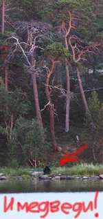 2011_08_06_9999_266.webp