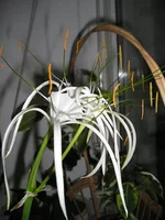P9270654.webp
