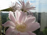 img_0378.webp