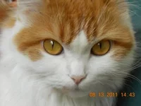 DSCN0340.webp