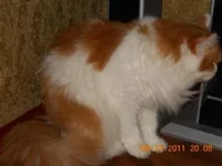 DSCN0357.webp
