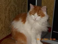 DSCN0358.webp