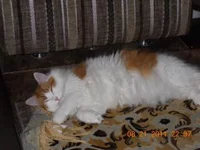 DSCN0486.webp