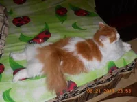 DSCN0549.JPG