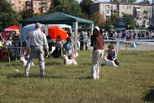 IMG_8049.webp