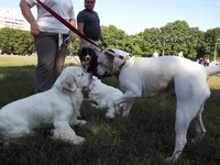 DSCF5829.webp