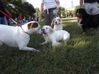 DSCF5833.webp