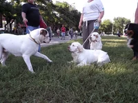 DSCF5834.webp