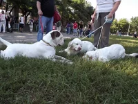 DSCF5838.webp