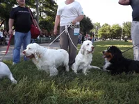 DSCF5842.webp