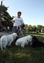 DSCF5844.webp