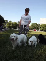 DSCF5852.webp
