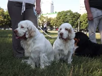 DSCF5855.webp