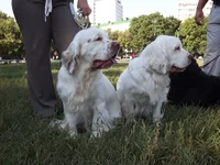 DSCF5856.webp
