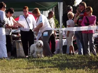 DSCF5859.webp