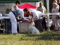 DSCF5860.webp