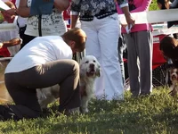 DSCF5870.webp