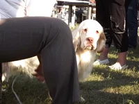 DSCF5878.webp
