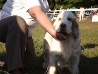 DSCF5880.webp