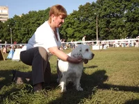 DSCF5881.webp