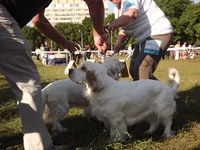 DSCF5883.webp