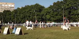DSCF5884.webp