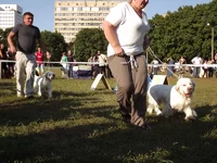 DSCF5886.webp