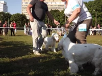 DSCF5887.webp