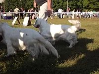 DSCF5892.webp