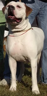 DSCF5901.webp