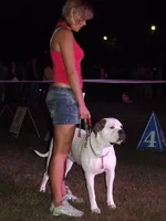 DSCF6015.webp