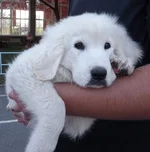 DSCF5954.webp