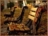 autumn_story.webp
