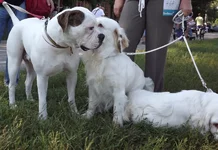 DSCF5847.webp