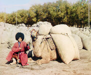 726px-Turkmen_man_with_camel.jpg