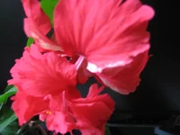 016.webp