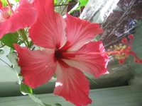  113.webp