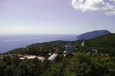 _01.webp