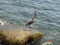 DSC08389.webp