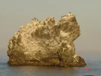 DSC08277.webp