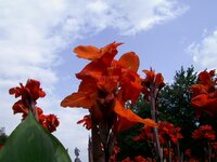 PIC_0207.jpg