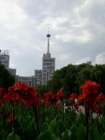 PIC_0209.webp