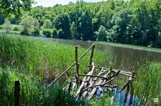 53470152.webp