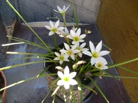 f0007816.webp